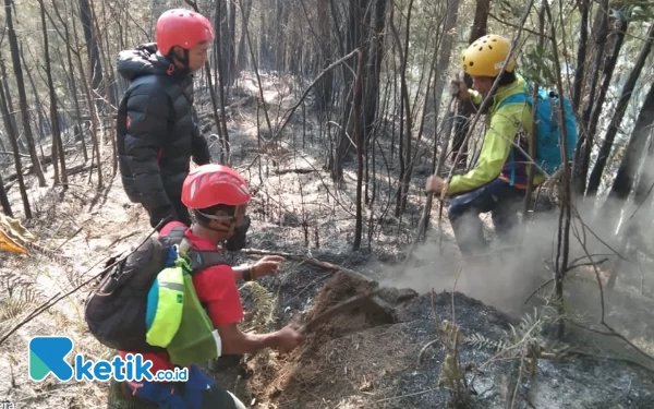 Karhutla Gunung Kawi Malang, 1063 Hektar Lahan Terbakar