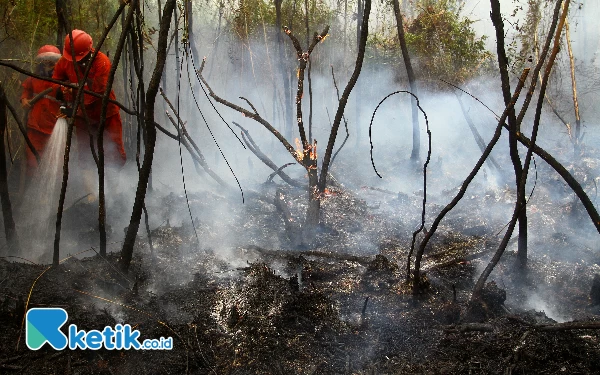 Thumbnail Berita - Potret Petugas Padamkan Lahan Gambut di Ogan Ilir Sumatera Selatan