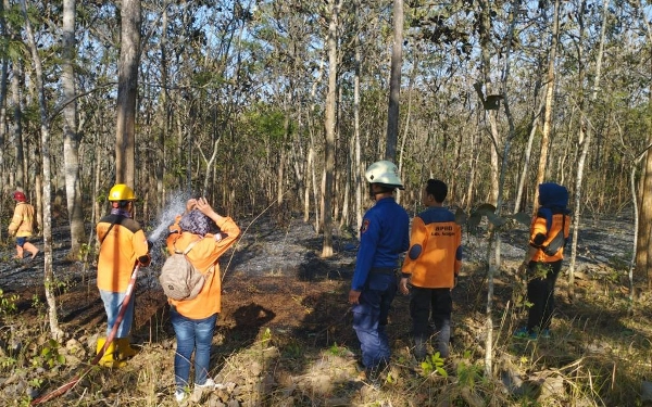 Terjadi Karhutla di Jawa Tengah, BNPB Minta Masyarakat Waspada