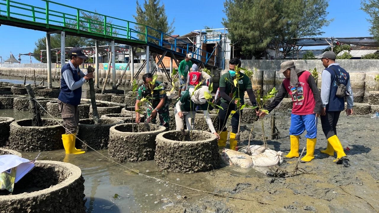 Thumbnail Normalisasikan Kawasan Pesisir, PLN Peduli Tanam 3000 Mangrove 