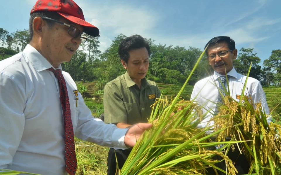 Thumbnail Berita - Jalin Kemitraan Bersama PT ATM, Petani Padi Japonica Makin Sejahtera 