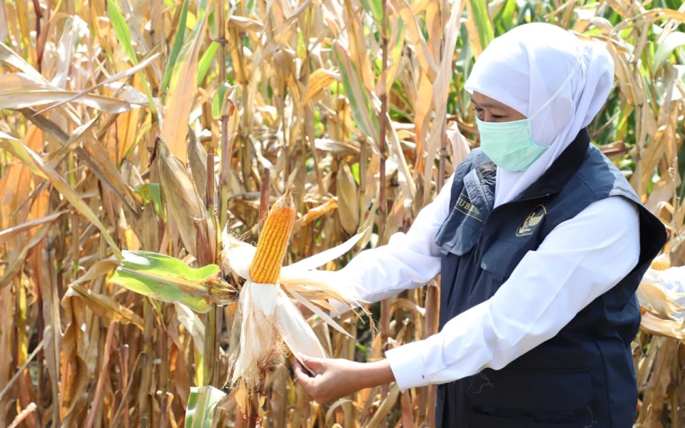 Thumbnail Berita - Gubernur Jatim Ingatkan Pemkab Harus Jaga Stabilitas Harga Bahan Pokok 