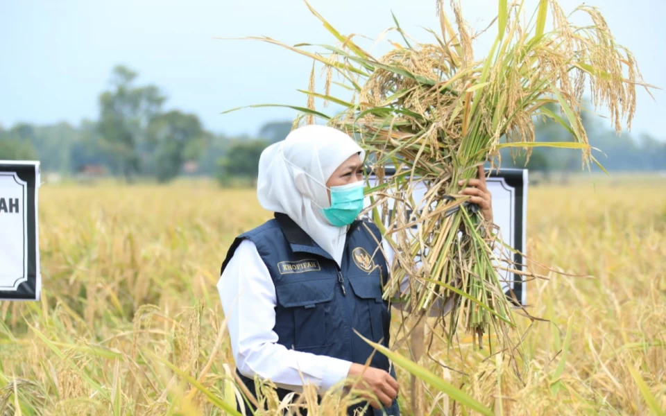 Thumbnail Gubernur Khofifah Yakin Jatim Siap Hadapi Krisis Pangan 