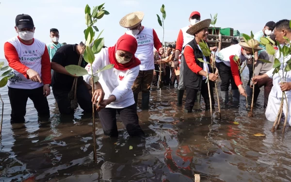 Gubernur Jatim Terus Lakukan Konservasi Perluasan Hutan Mangrove