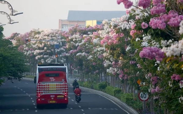 Thumbnail Berita - Surabaya Dihijaukan Lagi, 1000 Pohon Berhasil Ditanam