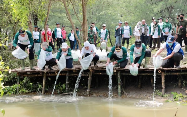 Thumbnail Jaga Ekosistem Mangrove Melalui Festival Ke-3 Mangrove