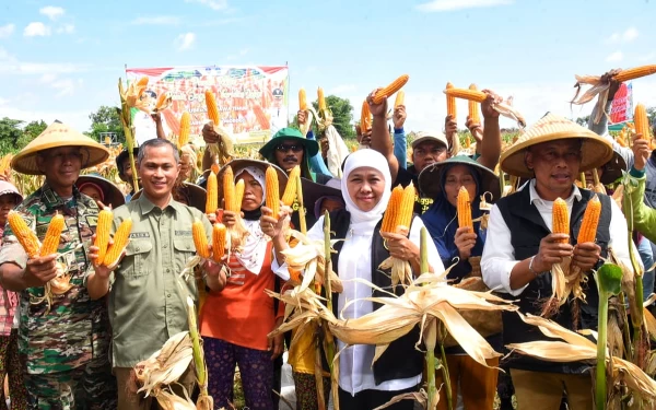 Thumbnail Khofifah Apresiasi Inovasi Varietas Jagung Reog 234 Produksi Kabupaten Ponorogo