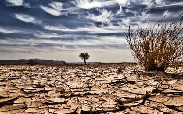 Thumbnail La Nina Menjauh, El Nino di Surabaya Perlu Diwaspadai 