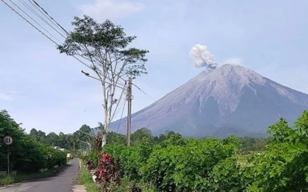 Thumbnail Banjir Lahar Semeru Masuk Sungai, Warga Diminta Waspada