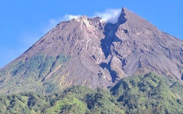 Thumbnail Berstatus Siaga, Gunung Merapi Kembali Luncurkan Awan Panas Guguran