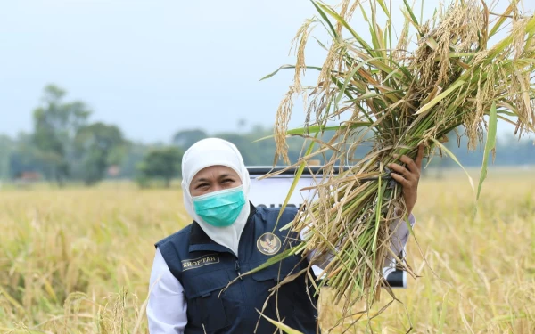 Thumbnail Berita - Pemprov Jatim Berhasil Pertahankan Nilai Tukar Petani