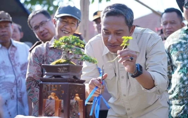 Thumbnail Berita - Bupati Pacitan Buka Pamnas Nyawiji 3, Bonsainya Bikin Mlongo