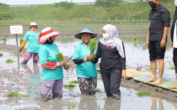 Thumbnail Berita - Sensus Pertanian 2023, Khofifah Harapkan Data Akurat untuk Hasilkan Kebijakan