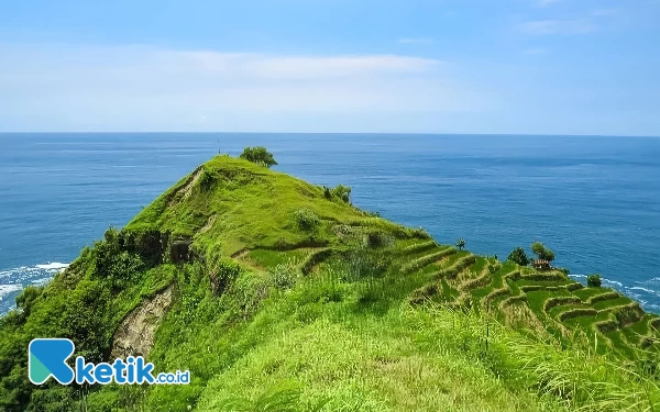 Thumbnail Berita - Bukit Teletubbies Pacitan, Sajikan Keindahan Bak Serial Populer