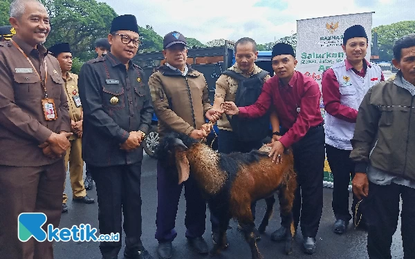 Thumbnail Jelang Idul Adha, Pemkot Malang Salurkan Hewan Kurban ke  Masyarakat