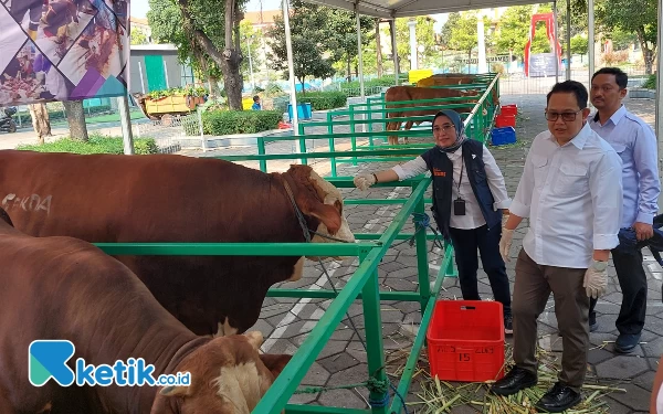 Thumbnail Berita - Sekda Jatim Tinjau Kesiapan Masjid Nasional Al-Akbar Jelang Idul Adha