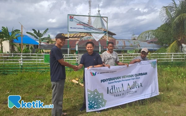 Thumbnail Lagi, PT. Wanatiara Berbagi Hewan Kurban di Masjid Kesultanan Bacan