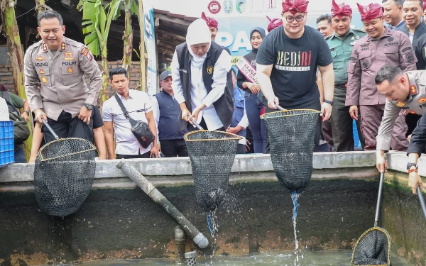 Thumbnail Gubernur Khofifah Dorong Peningkatan Budidaya Lele untuk Konsumsi Masyarakat