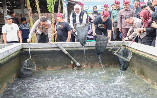 Thumbnail Berita - Gubernur Khofifah: Pentingnya Budidaya Lele untuk Turunkan Angka Stunting