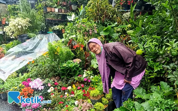 Thumbnail Pasar Bunga Splendid, Wisata Belanja Ikonik di Kota Malang