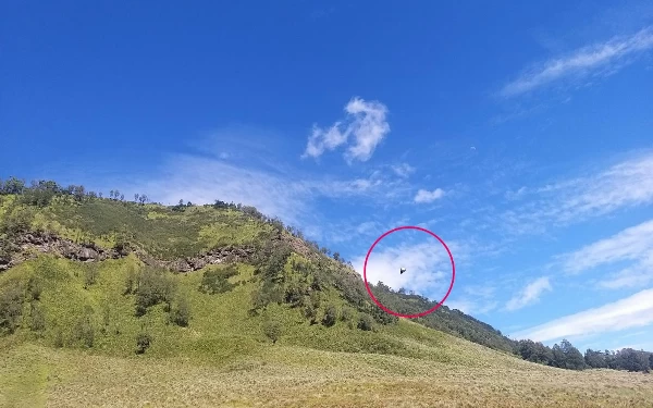 Geger UFO di Gunung Bromo, Ternyata Hanya Balon Mainan