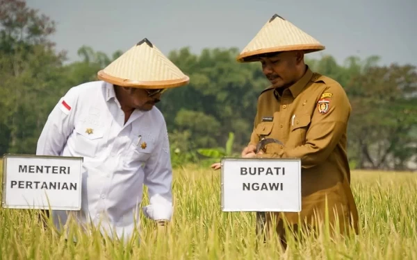 Thumbnail Hadapi Elnino, Ngawi Disiapkan Jadi Lumbung Pangan Nasional, Begini Strategi Mentan Syahrul Yasin Limpo