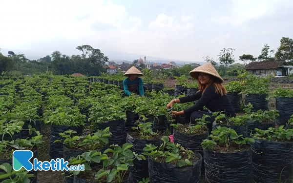 Menengok Indahnya Desa Wisata Kota Batu