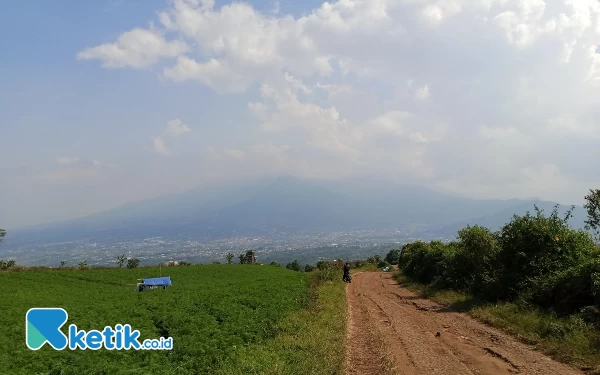 Thumbnail Bukit Jengkoang Suguhkan Eksotisme Kota Batu Dari Ketinggian