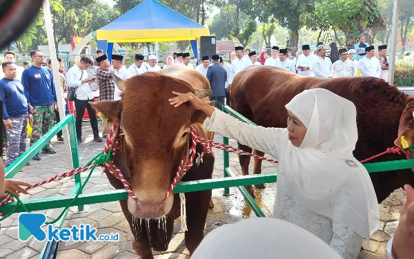 Jamin Keamanan Komoditas Ternak, Pemprov Jatim Vaksinasi 6 Juta Hewan