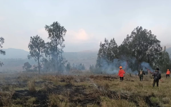 Thumbnail Berita - Lahan Seluas 35 Hektar Terbakar di Kawah Urung Bondowoso