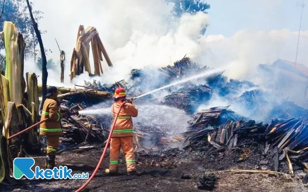 Thumbnail Berita - Diduga Akibat Puntung Rokok, Rumah Penggergajian Kayu di Probolinggo Terbakar