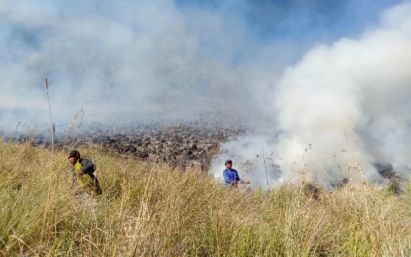 Thumbnail Karhutla Melanda Kawasan Taman Nasional Bromo Tengger Semeru