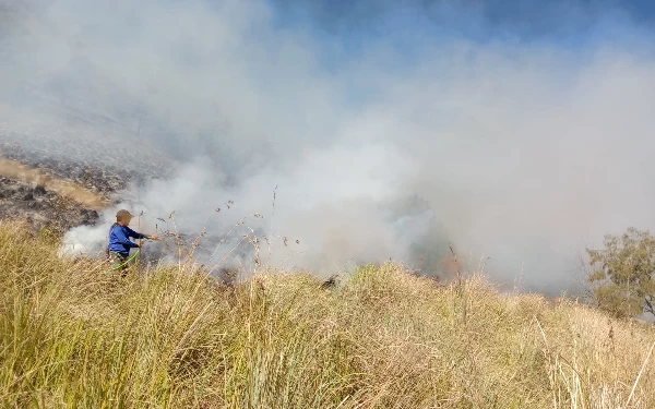 Karhutla melanda Taman Nasional Bromo Tengger Semeru