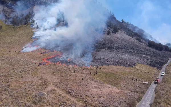 Thumbnail Penampakan Karhutla di Taman Nasional Bromo Tengger Semeru