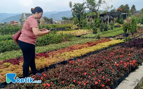 Thumbnail Berita - Mall Bunga Sidomulyo Kota Batu, Surga Bagi Pencinta Tanaman Hias