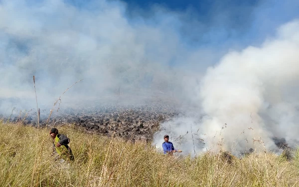 Thumbnail Seluruh Akses Menuju Taman Nasional Bromo Tengger Semeru Tutup Total