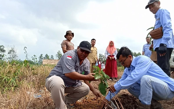 Thumbnail Bidik Hijaukan Sumatera, MBJ Inisiasi Gerakan Menanam Satu Juta Pohon