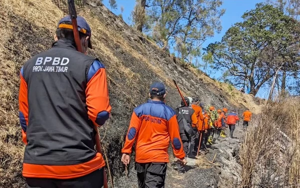 Thumbnail BPBD Jatim Optimalkan Penanganan Karhutla Gunung Bromo Melalui Jalur Darat