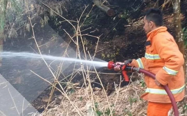 Thumbnail Berita - Damkar Cianjur Padamkan Api di Ladang Kebun Milik Petani