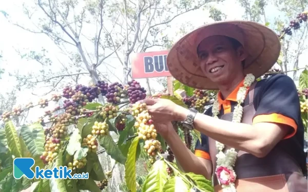 Thumbnail Presiden BRK Sambut Baik Rencana Bangkitkan Kopi di Bondowoso