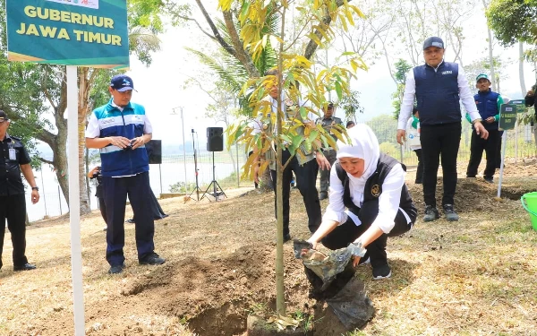 Thumbnail Tekan Laju Perubahan Iklim, Khofifah Dorong Penanaman Pohon