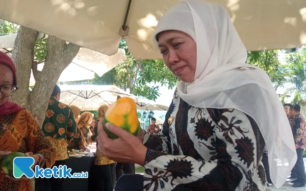 Thumbnail Berita - Promosikan Mangga Gunung Kelud, Gubernur Khofifah Bisa Tebak Ciri Masak Pohon