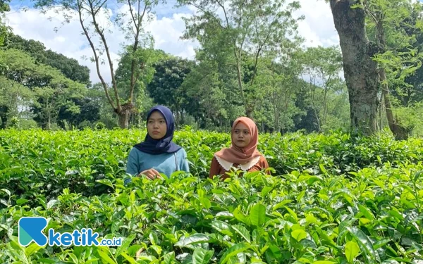 Thumbnail Rekomendasi Wisata Keluarga Dekat dengan Kota Malang