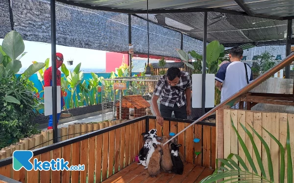 Thumbnail Pengalaman Menginap Berbeda di Hotel Dafam Fortuna Jember, Ada Kebun Binatang di Rooftop