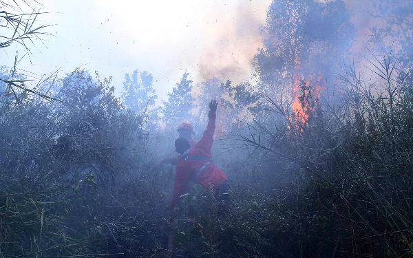 Thumbnail Petugas Manggala Agni DAOPS Banyuasin Sum-XIV berusaha memadamkan api di Kelurahan Talang Betutu Kecamatan Sukarami Palembang, Rabu (11/11/2023). Wahyu Rahmanto