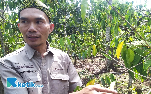 Thumbnail Ada 'Laboratorium' Alam untuk Belajar Kopi yang Masuk  Ijen Geopark Bondowoso