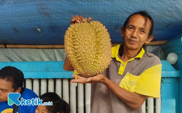 Thumbnail Berita - Tergoda Durian Montong? Pedagang di Pacitan Jual Rp80 Ribu Per Kilogram