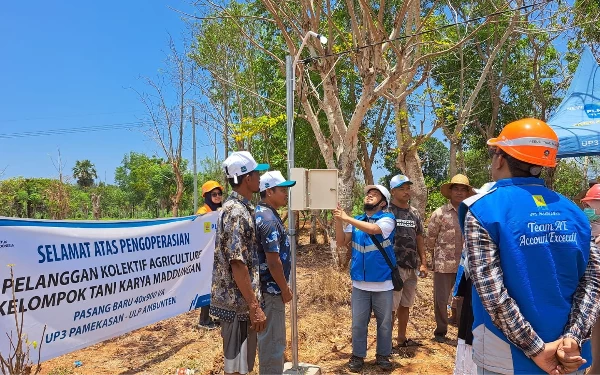 Thumbnail Berita - Beralih ke PLN, Petani Jeruk Hemat Biaya Capai 30 Persen