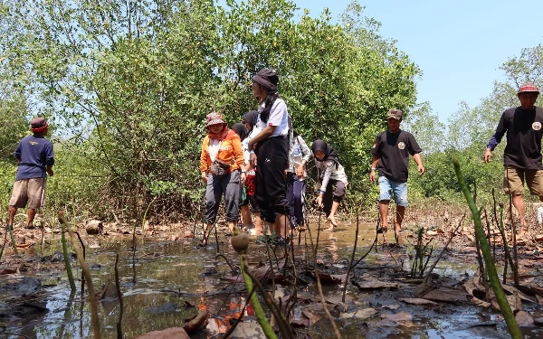 Ajak Warga Pantai Selatan Tanam Mangrove, Kurangi Risiko Abrasi dan Jadi Potensi Desa Wisata