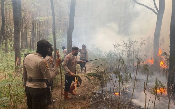 Thumbnail Berita - Cari Penyebab Kebakaran Gunung Lawu, Polres Ngawi Periksa 15 Saksi, Kirim Sampel ke Labfor Polda